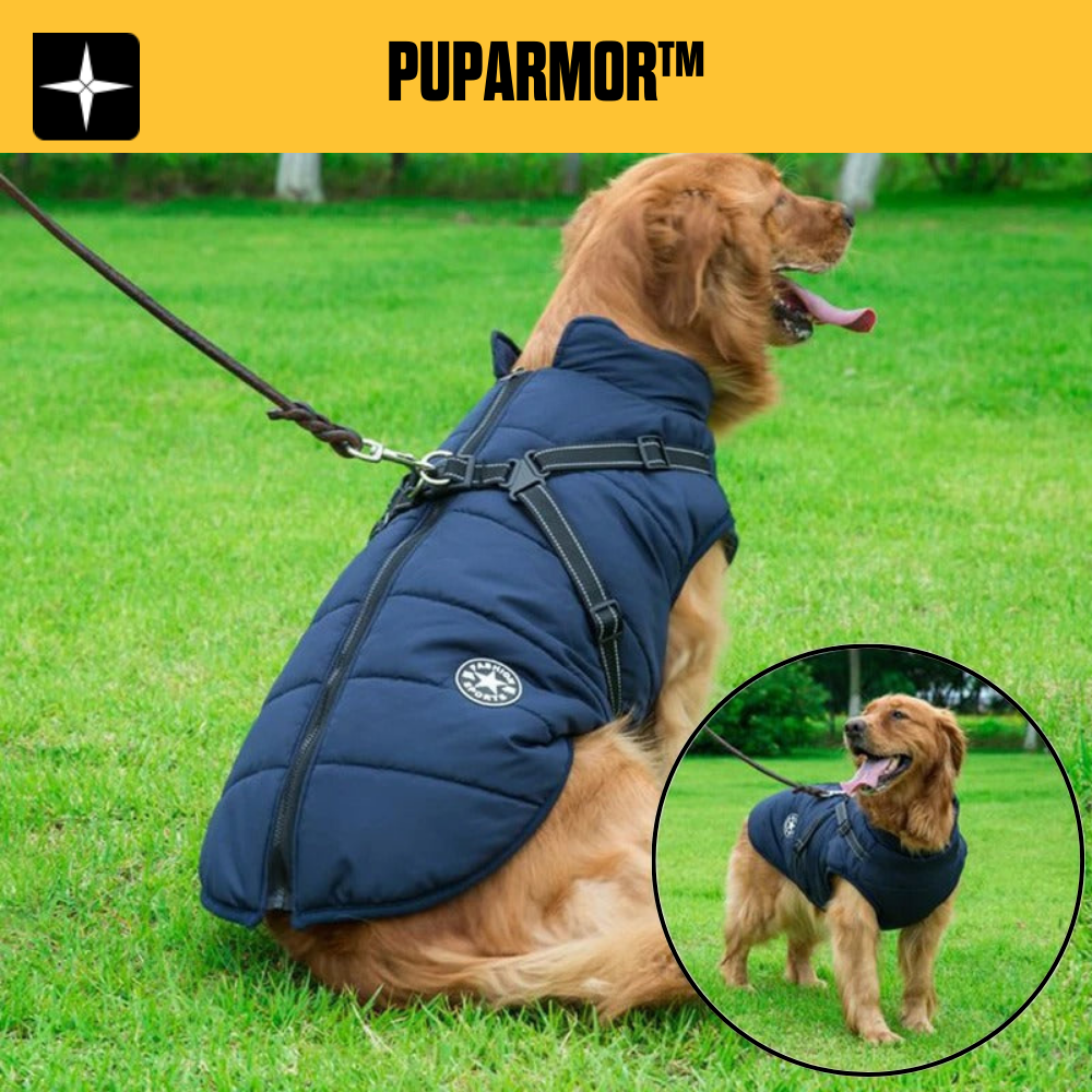 PupArmor™ | sisäänrakennetut valjaat mukaville kävelyille